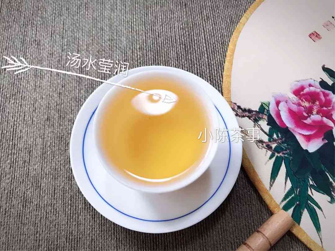 白茶红茶绿茶普洱茶区别：各自特点与好处对比