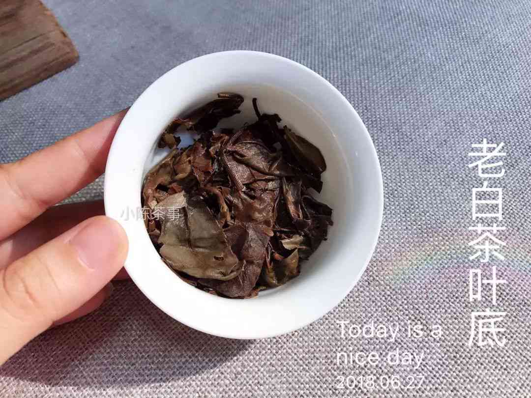 白茶红茶绿茶普洱茶区别：各自特点与好处对比