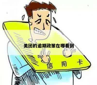 美团最新逾期政策