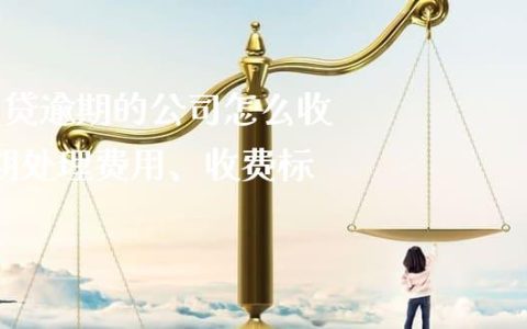 解决逾期的公司怎么收费的