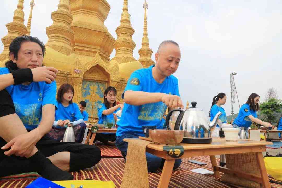 版纳茶文化之旅：普洱茶品鉴直播宴