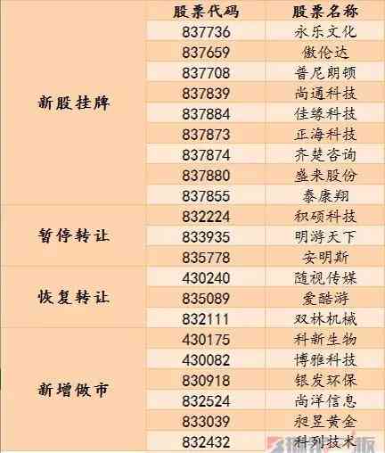 全面解析普洱茶品等级：了解其品质、口感与市场定位