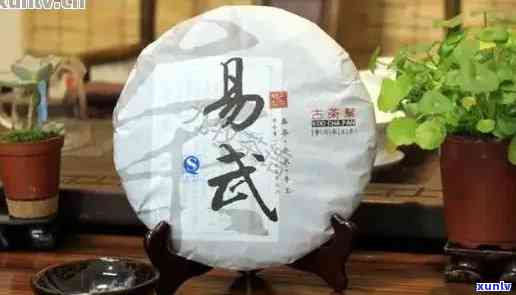 易武普洱茶生茶18年的价值、品质与价格对比分析：如何选购和收藏？