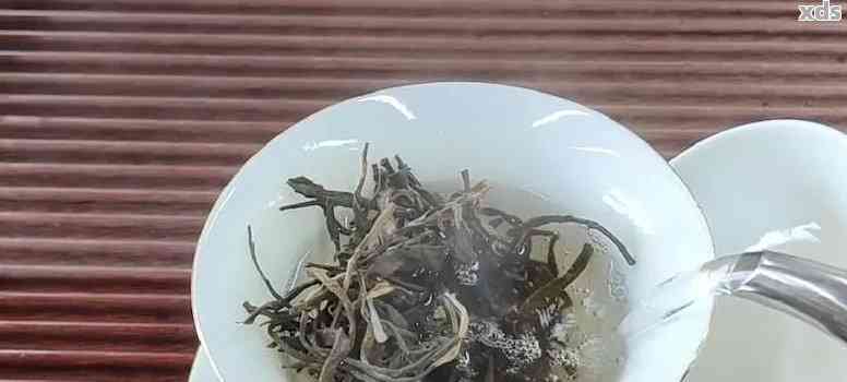 普洱茶生茶可以泡着喝吗？是否安全无？如何正确饮用以避免潜在风险？