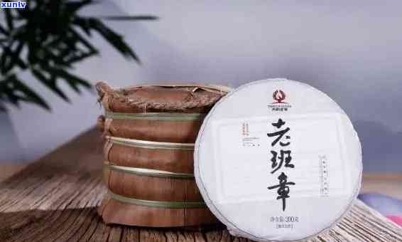 老班章茶品鉴：普洱茶中的瑰宝，价格与品质并存