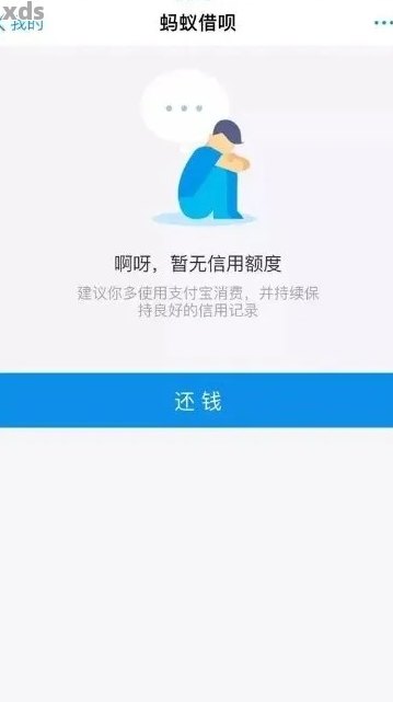 蚂蚁借呗逾期还款后果：当天未能按时还款怎么办？