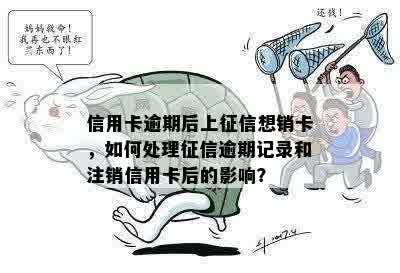 信用卡逾期上撤销怎么办？注销后逾期记录仍存，撤销后多久能查到？