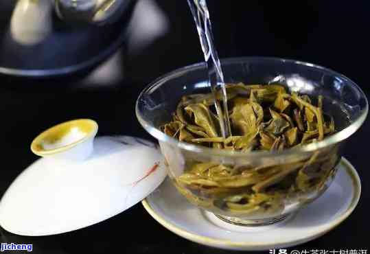 新茶好喝吗？怎么泡普洱茶？