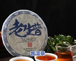 普洱茶制作的步骤依次是什么？