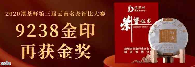 2020普洱茶金芽奖：致敬越品质与创新精神