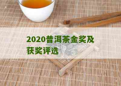 2020普洱茶金芽奖：致敬越品质与创新精神