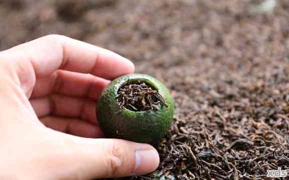 新会普洱茶小青柑的功效与作用：解渴生津、消食化滞、降脂减肥等全方位解析