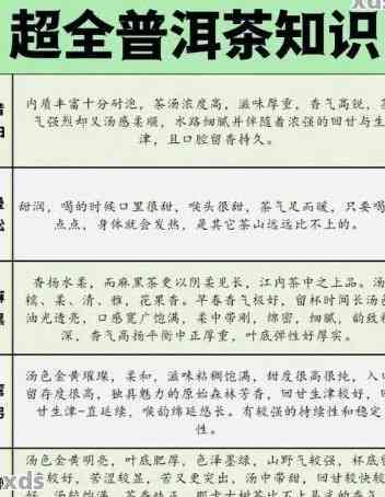 了解普洱茶的世界：从入门到精通