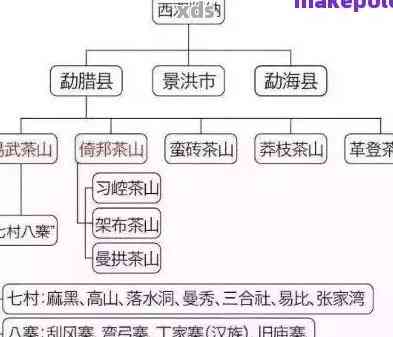 江城号易武普洱茶：品质、产地、口感、功效及购买指南的全面解析