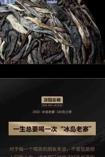 冰岛单株古树生茶100克：品种、产地、口感、价格及购买渠道全面解析