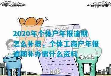 '2020年个体户年报逾期补报全流程及罚款'