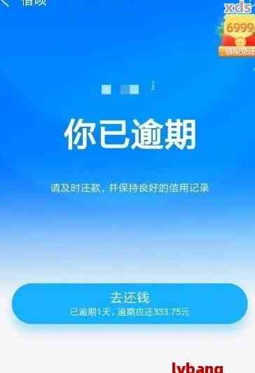 如何利用借呗还款优进行减免？用户常见问题解答