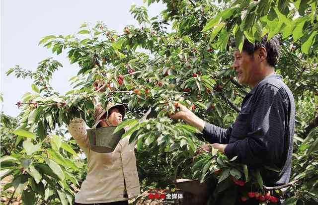 山东省泰山地区玉石与玛瑙产地的探索：钻石和翡翠元素的加入