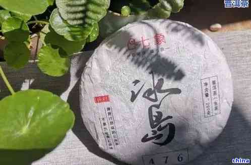 探究冰岛普洱茶的魅力：价格与品质并存