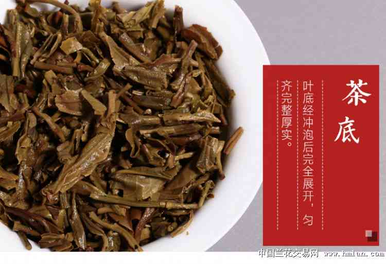 勐海普洱茶云南七子饼生茶357g