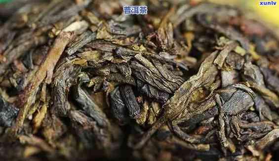 300年的古树普洱茶价格与品质：熟茶与生茶全解析