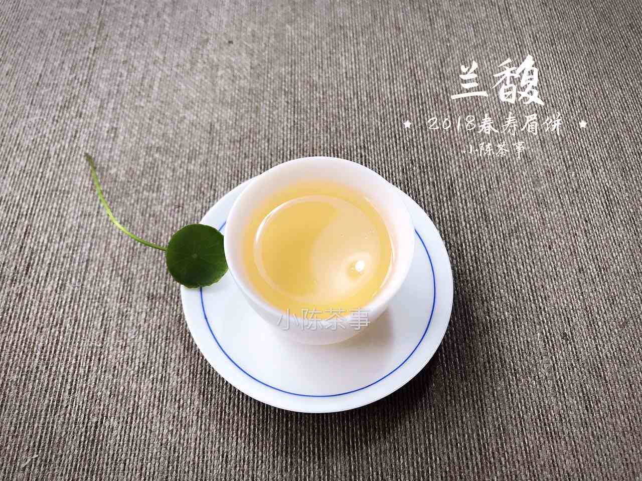 普洱茶：新茶与老茶的区别及其品质分析