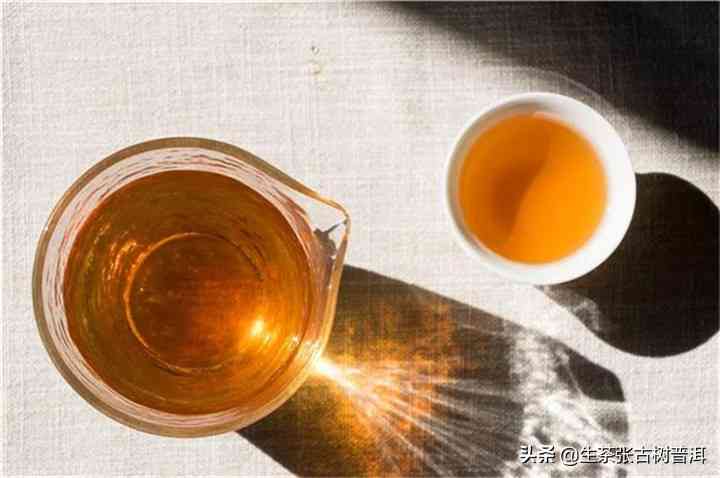 如何泡好一杯普洱茶知识