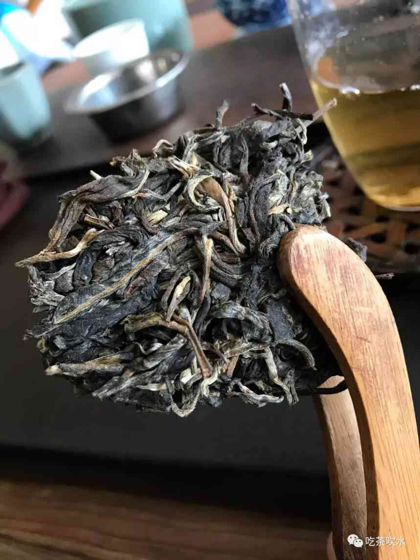 阿里古树普洱茶生茶最新报价大全 - 易武茶业批发价格