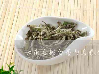 云南普洱茶：月光白与古树白茶色之别，品茗间的差异探究