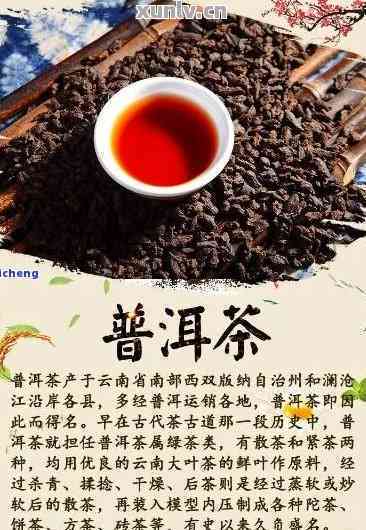 冰岛茶区优质普洱茶的特色与价格分析，云南茶叶文化的深度体验