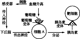 玉石在高温下的反应：发热现象及其科学原理探讨