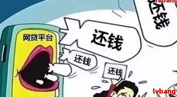 网贷逾期后，所有款项都能被追缴吗？逾期后果如何影响还款？