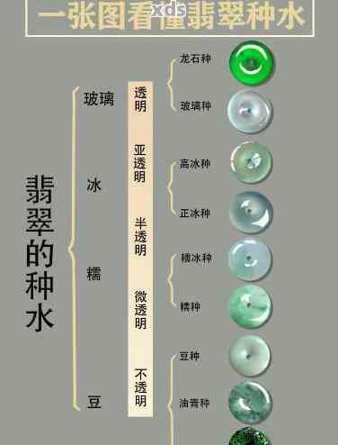 翡翠放入水中后的变化及其原因解析