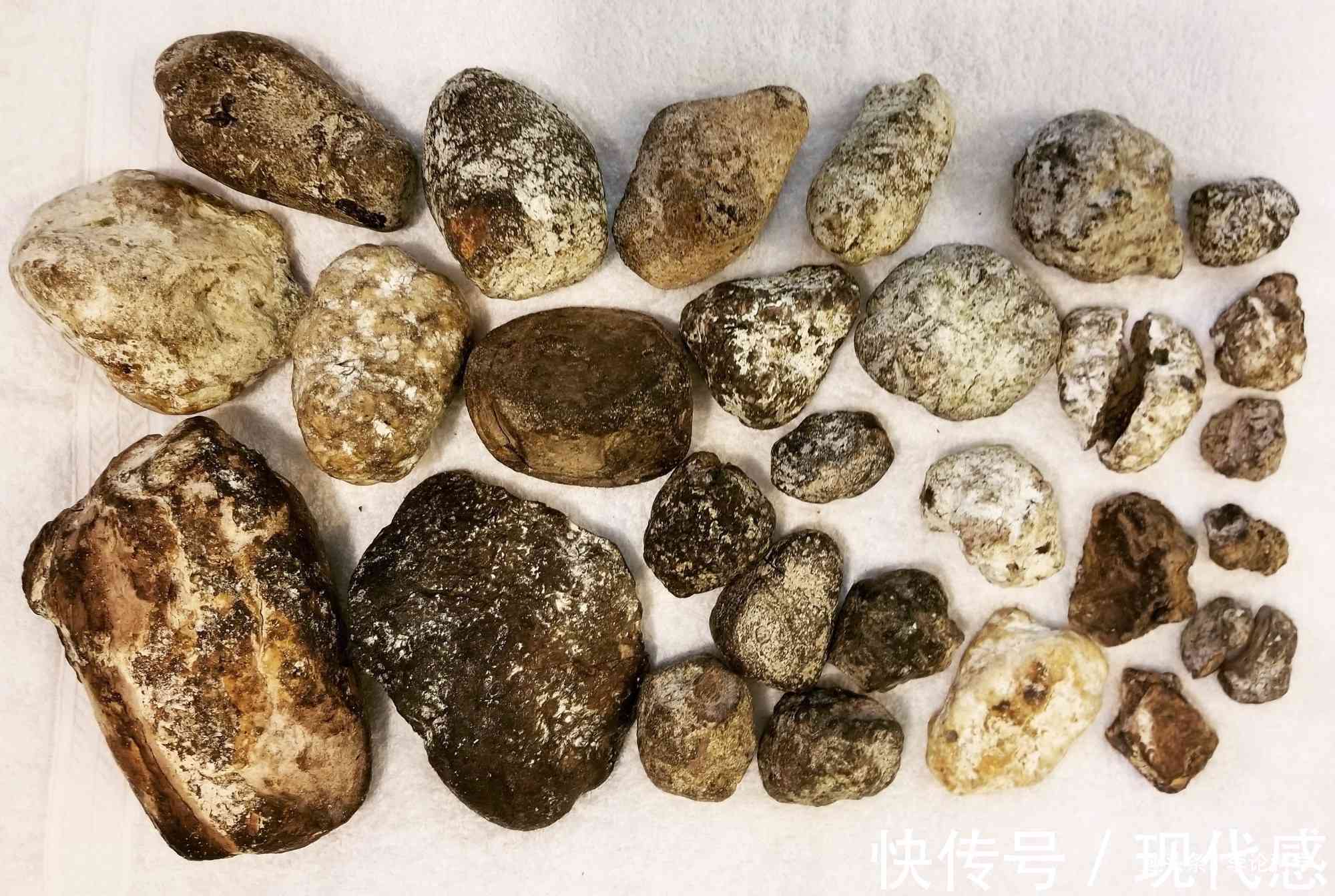 龙涎玉的独特魅力及其象征意义