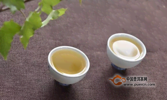 一定要囤的普洱茶是什么