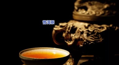 深入了解普洱茶：从茶叶到文化的历与魅力