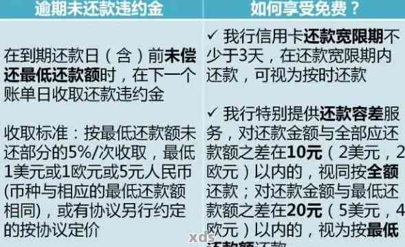 信用卡逾期还款后果：对工作和信用评分的影响探讨