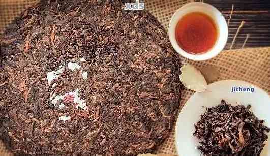 99一斤的普洱茶品种详解：从古树茶到散茶，一份全面的指南