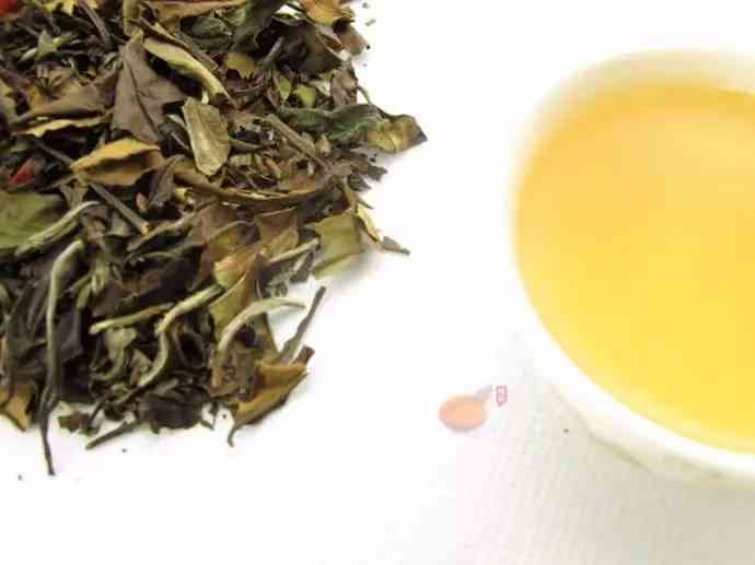 景迈白茶：一种独特的茶类，了解其品种、制作工艺与功效