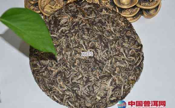 99一斤的普洱茶有哪些