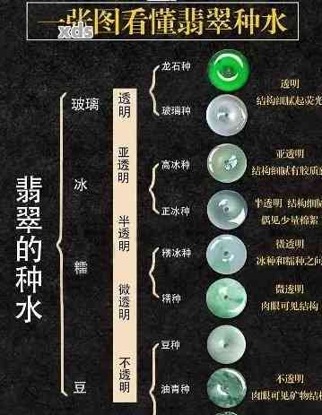 全面了解翡翠的水头：从定义、分类到鉴别方法，让你轻松成为行家