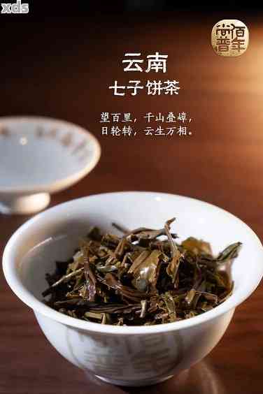 云南七子饼茶普洱生茶6381价格好喝吗？怎么泡？天溢正山