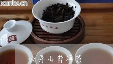 公子的普洱茶是什么茶