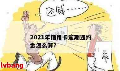 信用卡逾期收了违约金怎么办？2021年最新攻略！