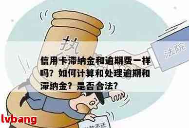 信用卡逾期还款违约金是否合法？如何避免支付过高的违约金？