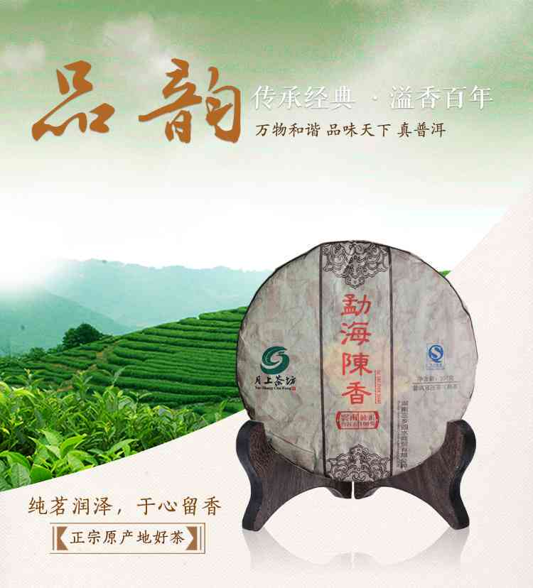 勐海陈香牌普洱茶怎么样