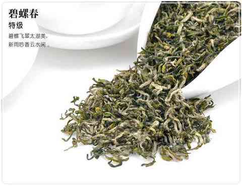 2000年普洱茶沱茶海湾茶业生茶250g:关于这款茶叶的详细介绍