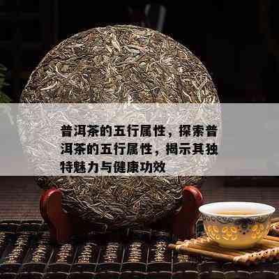 探寻普洱茶的精髓：揭秘宝魂茶叶的千年传承与独特魅力