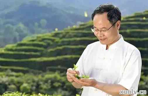 普洱茶研究者：深入探索普洱茶的奥秘与魅力