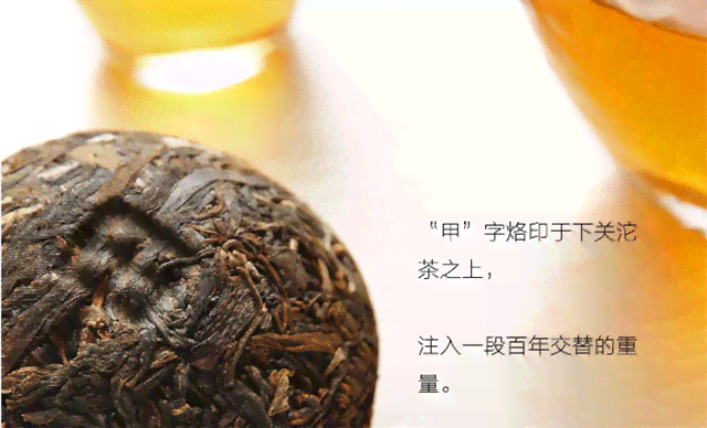 布朗沱茶的功效与作用及下关布朗沱茶2010的介绍